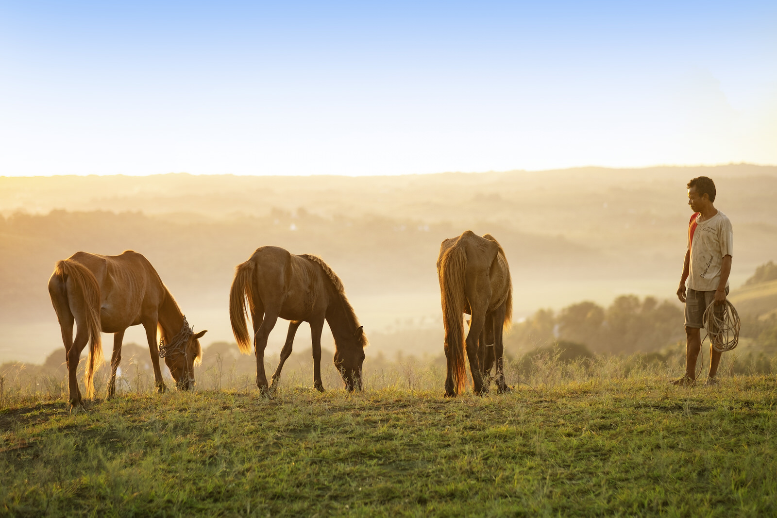Lelewatu Sumba