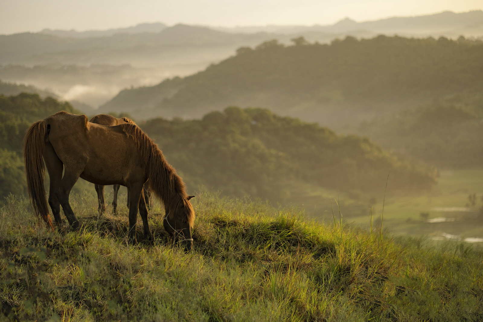 Lelewatu Sumba