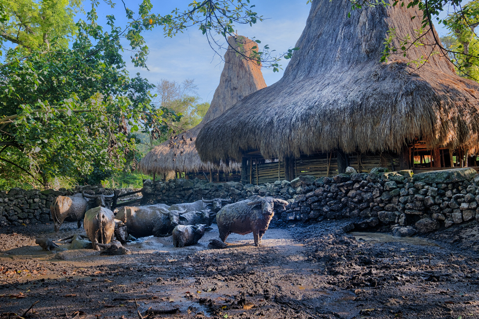 Lelewatu Sumba